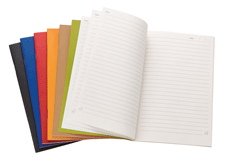 6" x 9" Single Meeting Notebook
